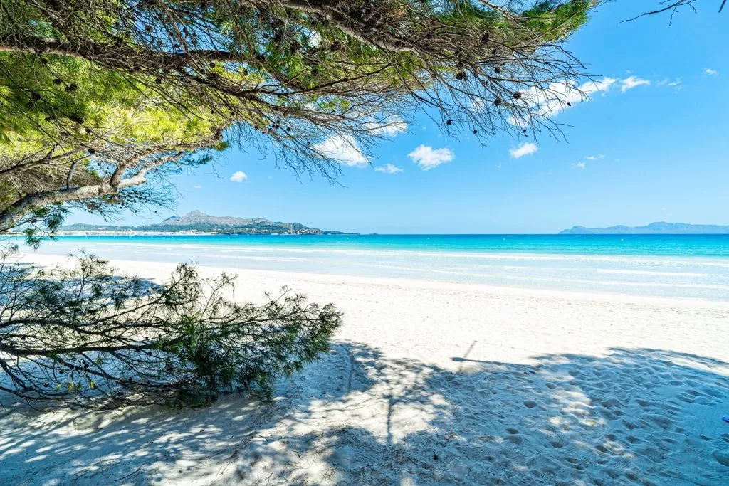 Immobilienangebot - Alcudia - Alle - 8095 - Spektakuläre Villa am Strand von Port Alcudia mit Ferienlizenz (ETV), Mallorca