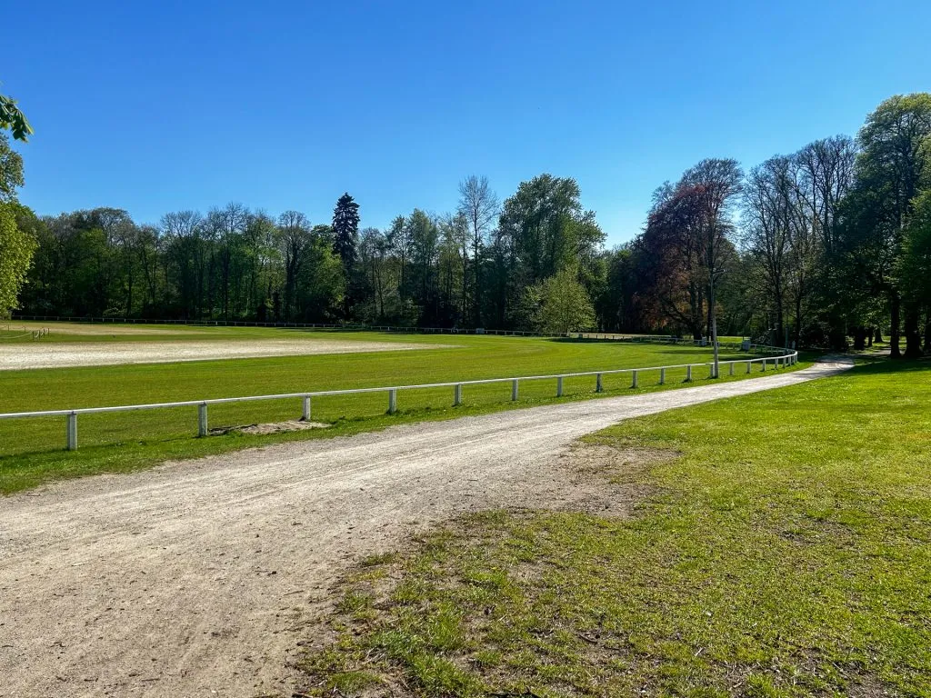 Immobilienangebot - Rastede - Wohnen - Charmantes Einfamilienhaus mit Garage, Einliegerwohnung und schönem Garten direkt in Rastede!